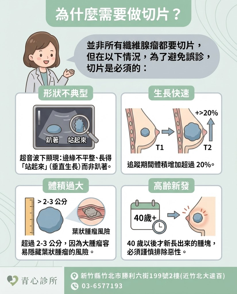 乳房腫瘤切片檢查適應症：形狀不典型與生長快速