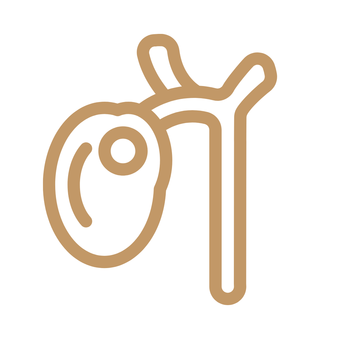 膽囊炎治療-青心診所